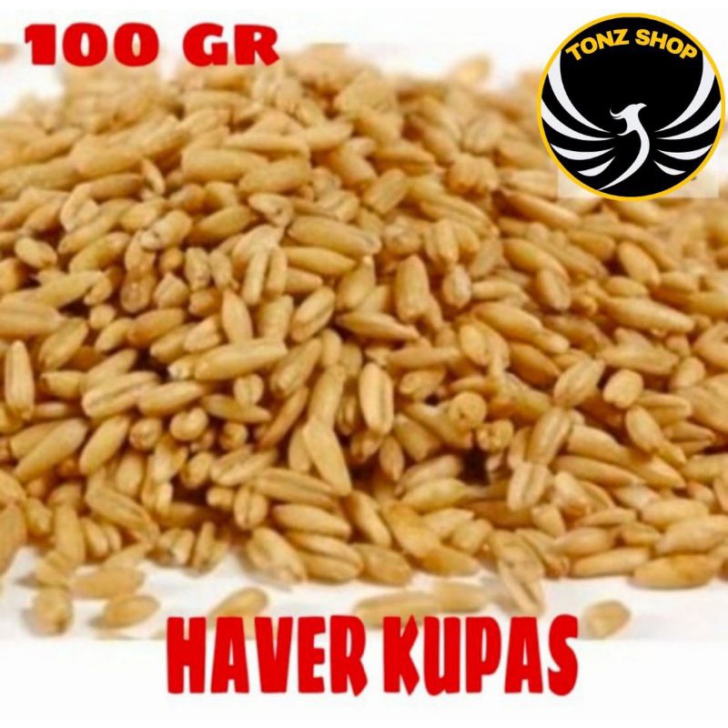 Jual Haver Seed Haver Kupas Biji Oat Pakan Makanan Burung Hamster Dll Gr Shopee Indonesia