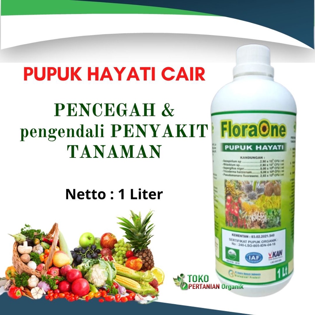 Jual Pupuk Hayati Cair Anti Layu Fusarium, FloraOne Obat Bakterisida ...