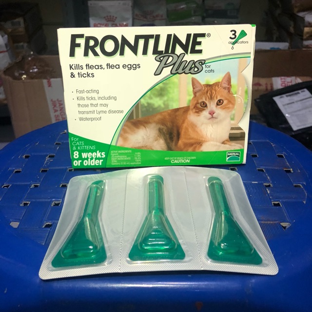 Jual Frontline Plus For Cats Kittens Obat Kutu Kucing Harga Satu Pipet Shopee Indonesia