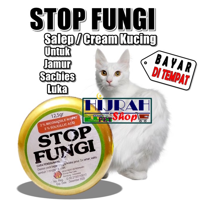 Jual Salep Kucing Cream Kucing Salep Anjing Salep Jamur Kucing Anjing ...
