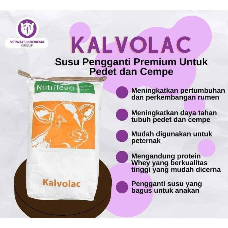 Jual Susu cempe dan pedet , susu kalvolac pengganti susu induk 1 kg ...