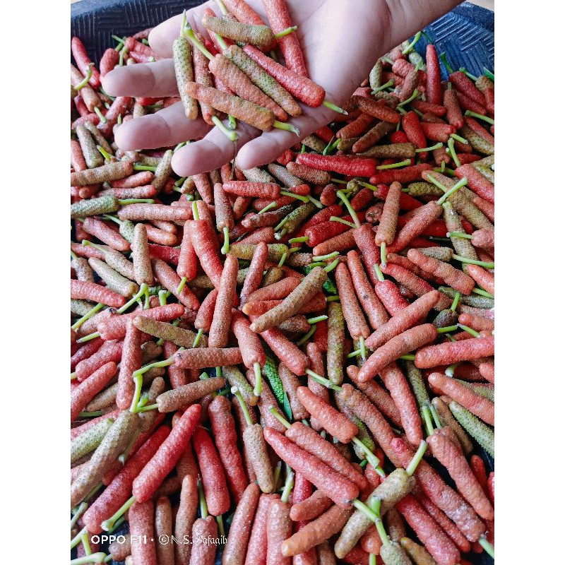 Jual Cabe Jawa Cabe Puyang Cabe Jamu Segar 1kg Shopee Indonesia