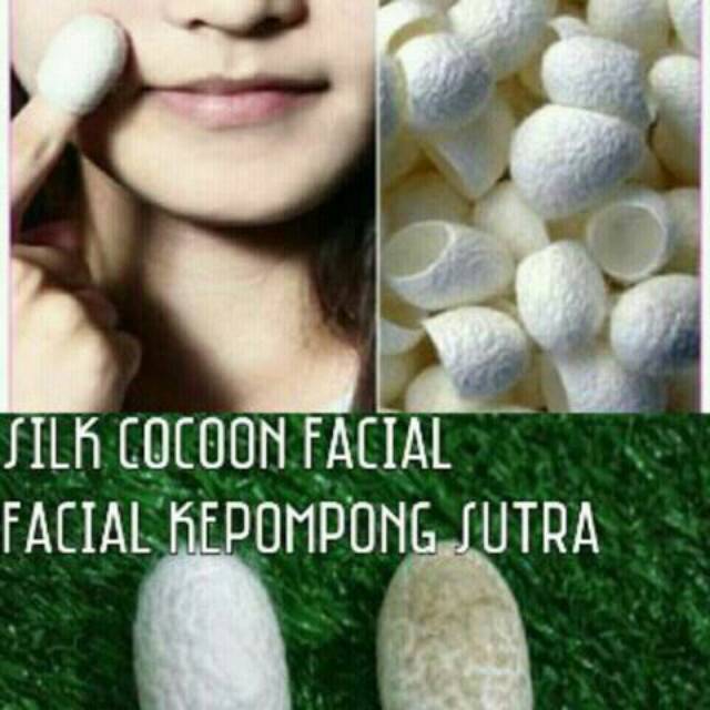 Jual Cocoon Facialfacial Kepompong Ulat Sutra Shopee Indonesia 9048