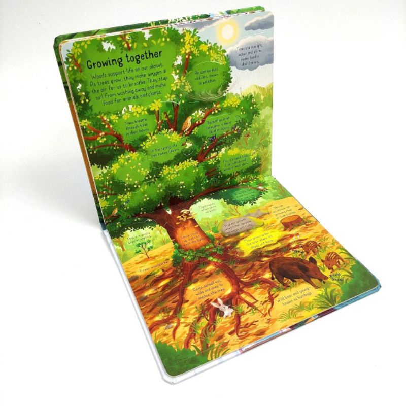 Jual Usborne Lift the Flap Look Inside the Woods | Shopee Indonesia