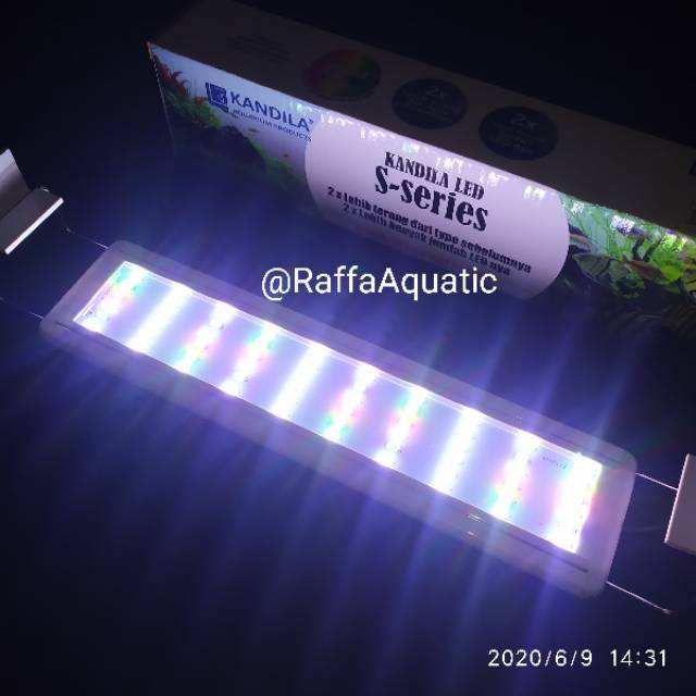 Jual Led Aquascape Kandila S S Rgbw Lampu Aquarium Cm Cm