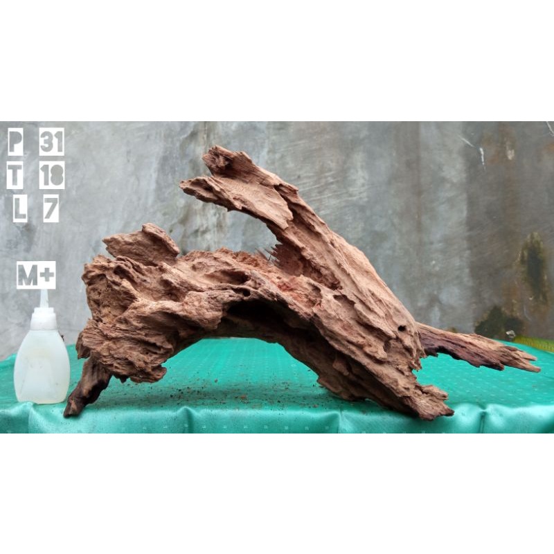 Jual kayu rentek/Driftwood size M+ cocok untuk menghiasi quascape ...