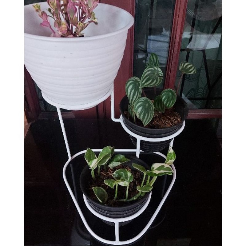 Jual standing pot rak pot besi minimalis 15x25 | Shopee Indonesia