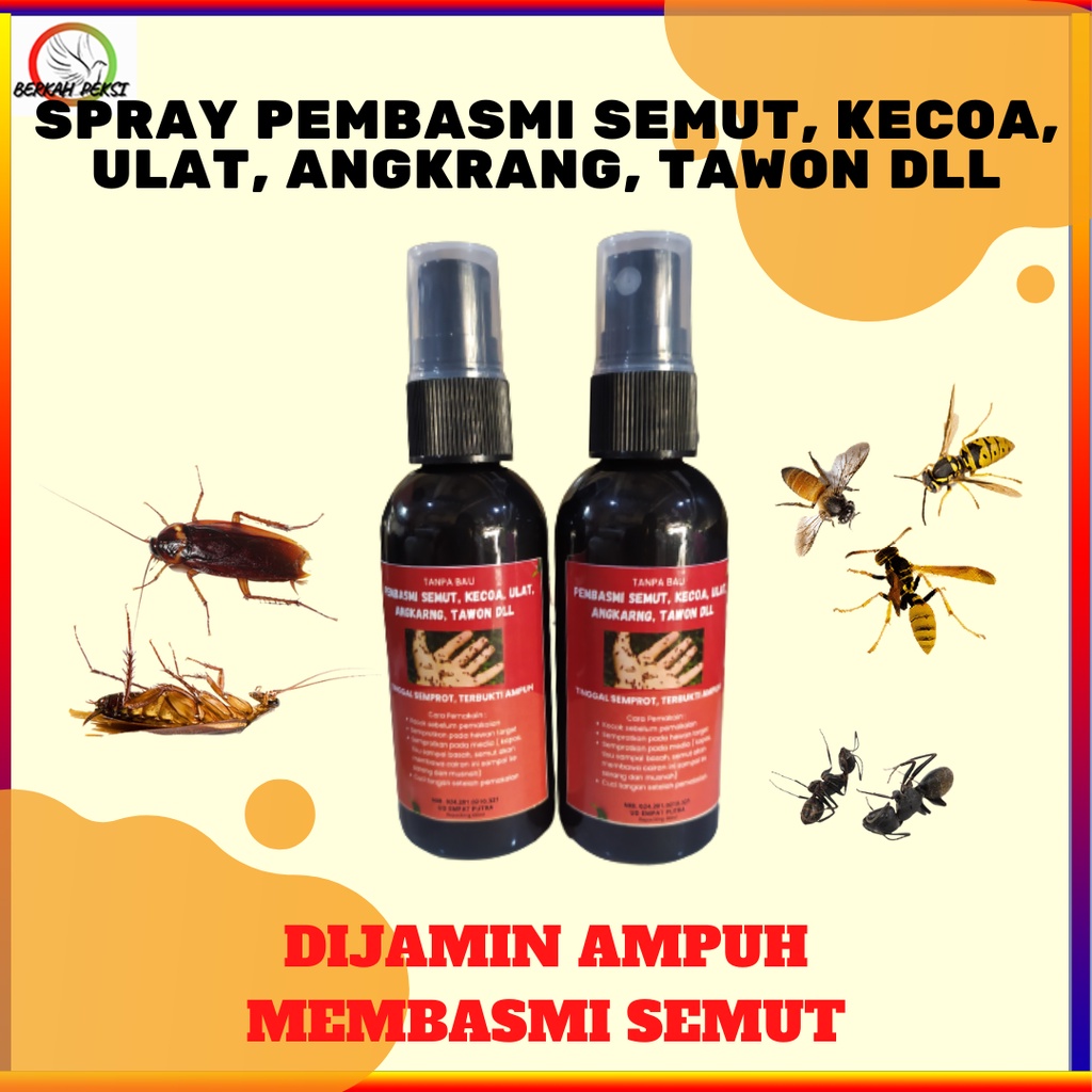 Jual SPRAY SEMPROT PEMBASMI SEMUT RACUN AMPUH MEMBUNUH SEMUT ANGKRANG ...