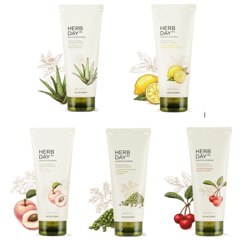 Jual Herb Day 365 Master Blending Foaming Cleanser 170ml The Face