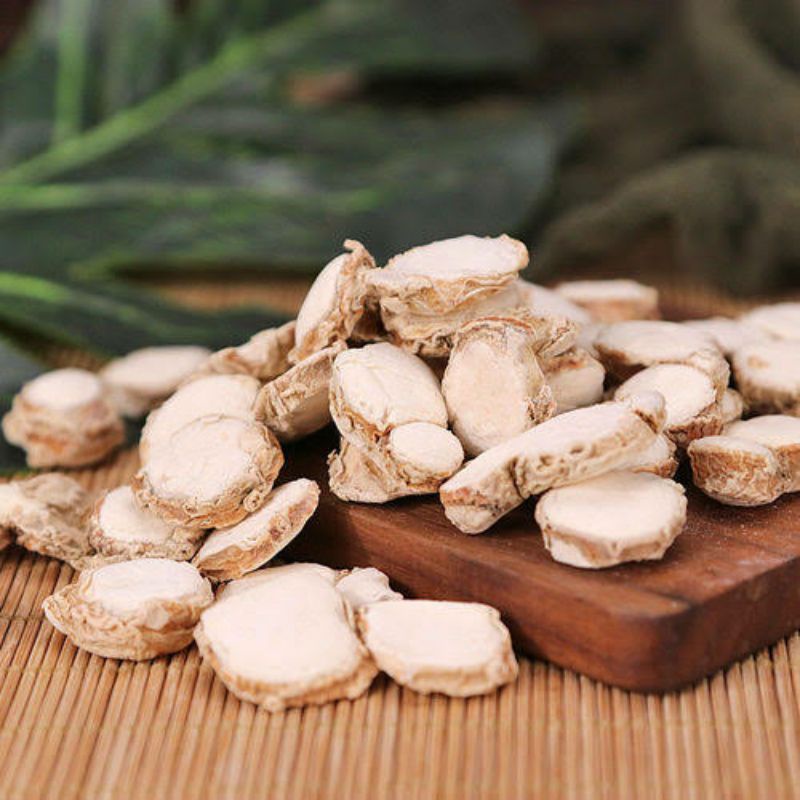 Jual 100gr san nai premium kaempferia galanga / rhizoma kaempferiae ...