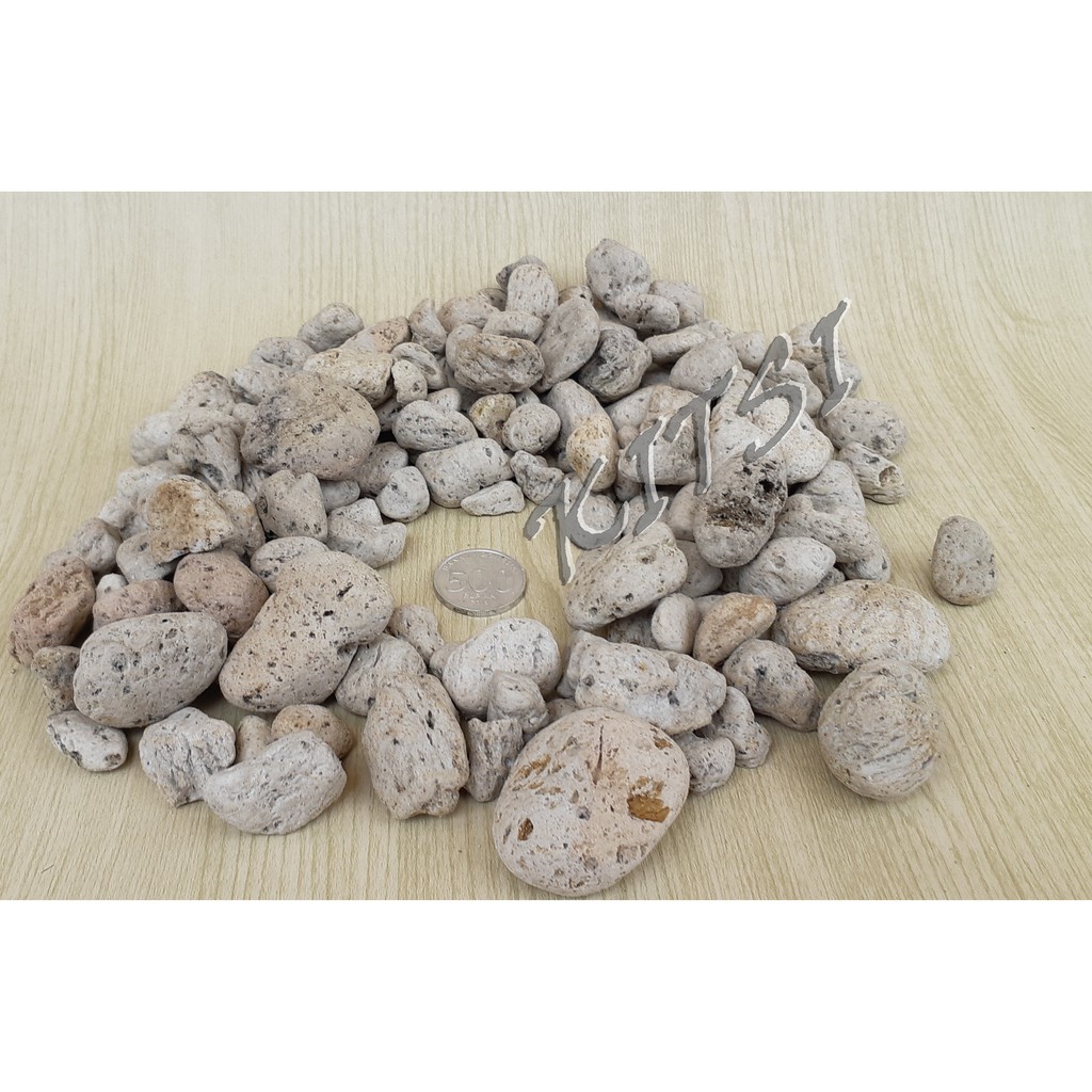 Jual Filter Batu Apung Media Filter Batu Berongga Batu Apung Rumah ...