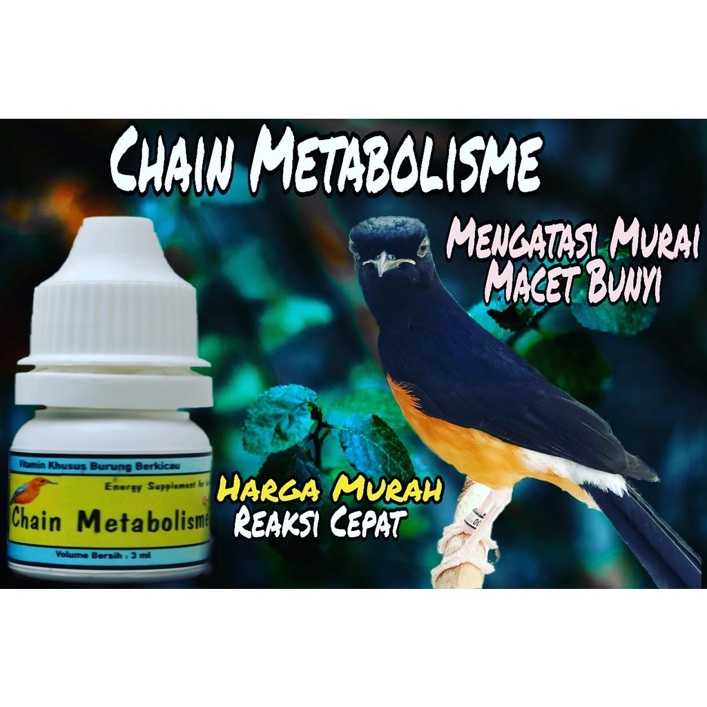 Jual CHAIN METABOLISME PENGGACOR UNGGULAN PARA KICAUMANIA | Shopee ...