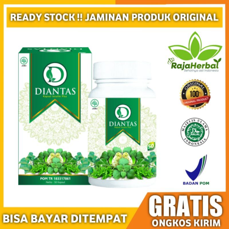DIANTAS Asli Obat Diabetes Herbal Penurun Gula Darah Alami/Insulin Plus