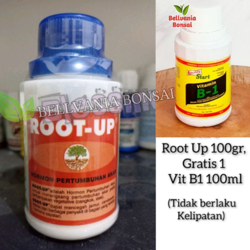 Jual Root Up Hormon Akar 100gr Beli 1 Root Up 100gr Bonus 1 Vitamin B1 ...