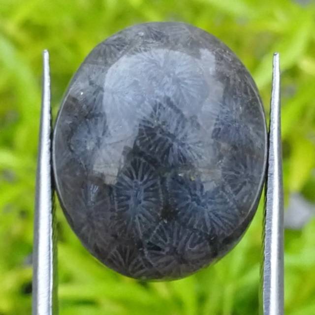 Jual Batu Mustika Teratai Hitam Langka Asli | Shopee Indonesia