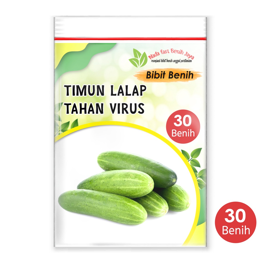 Nada fast benih jaya - Benih timun lalap tahan virus 30 biji benih sayuran bibit sayur timun