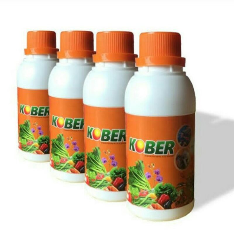 Jual Kober 4 botol | Shopee Indonesia