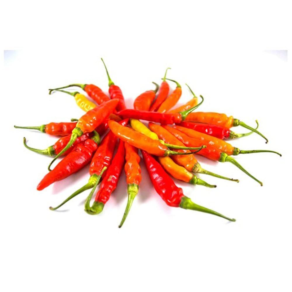 Jual Cabe 1 kg | Shopee Indonesia