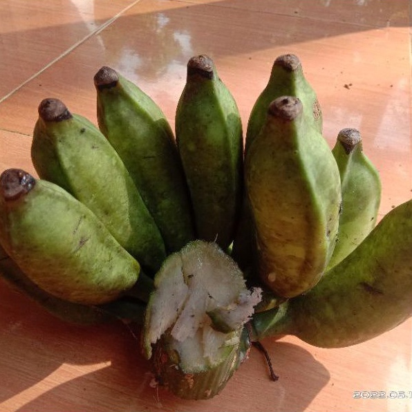 Jual Pisang Raja Fresh Kg Shopee Indonesia