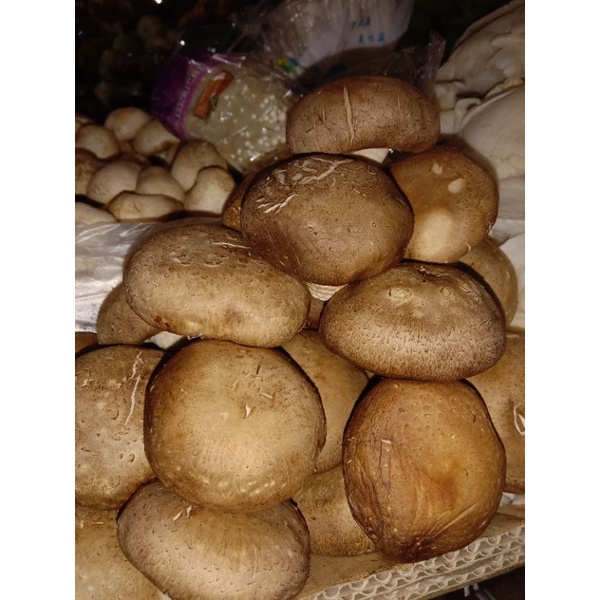 Jual Jamur Shitake harga perbungkus Shopee Indonesia