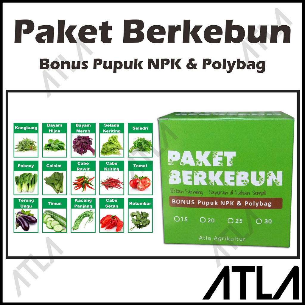 Jual Paket Berkebun Benih Bibit Biji 15 Jenis Sayur Daun Tanaman ...