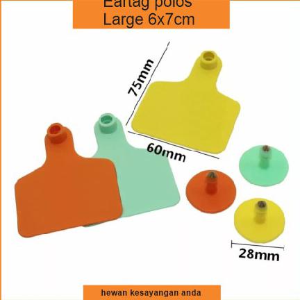 Jual ear tag eartag polos ukuran Large 6x7cm untuk babi sapi kerbau ...