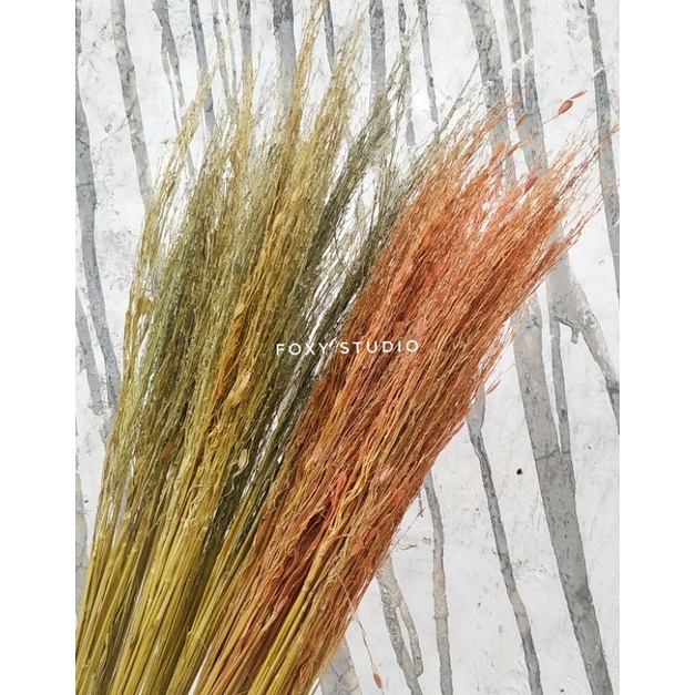 Jual MERANG PADI KERING WARNA / MERANG PADI / BATANG PADI | Shopee