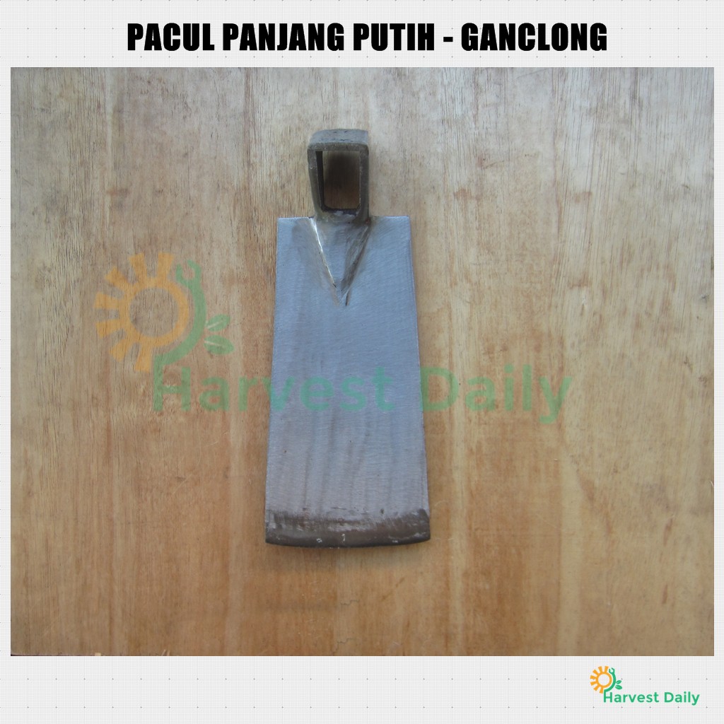 Jual Pacul - Cangkul Panjang Putih - Ganclong | Shopee Indonesia