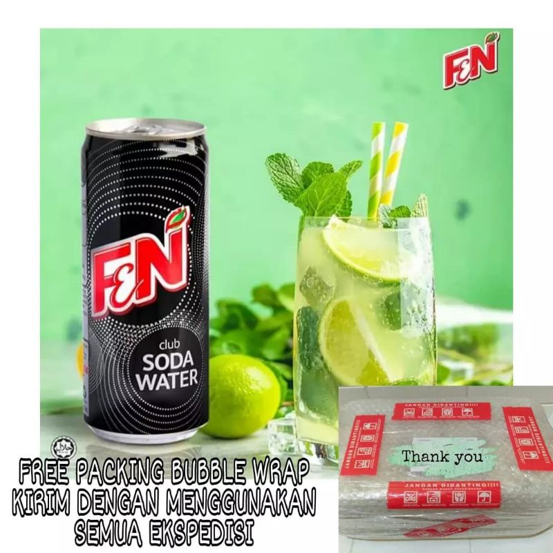 Jual Fn Air Soda Minuman Kaleng 250 Ml ( 1 Karton Isi 24 Kaleng ...