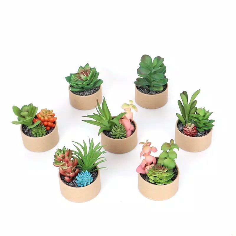 Jual Succulet Buatan Pot Kertas Shopee Indonesia