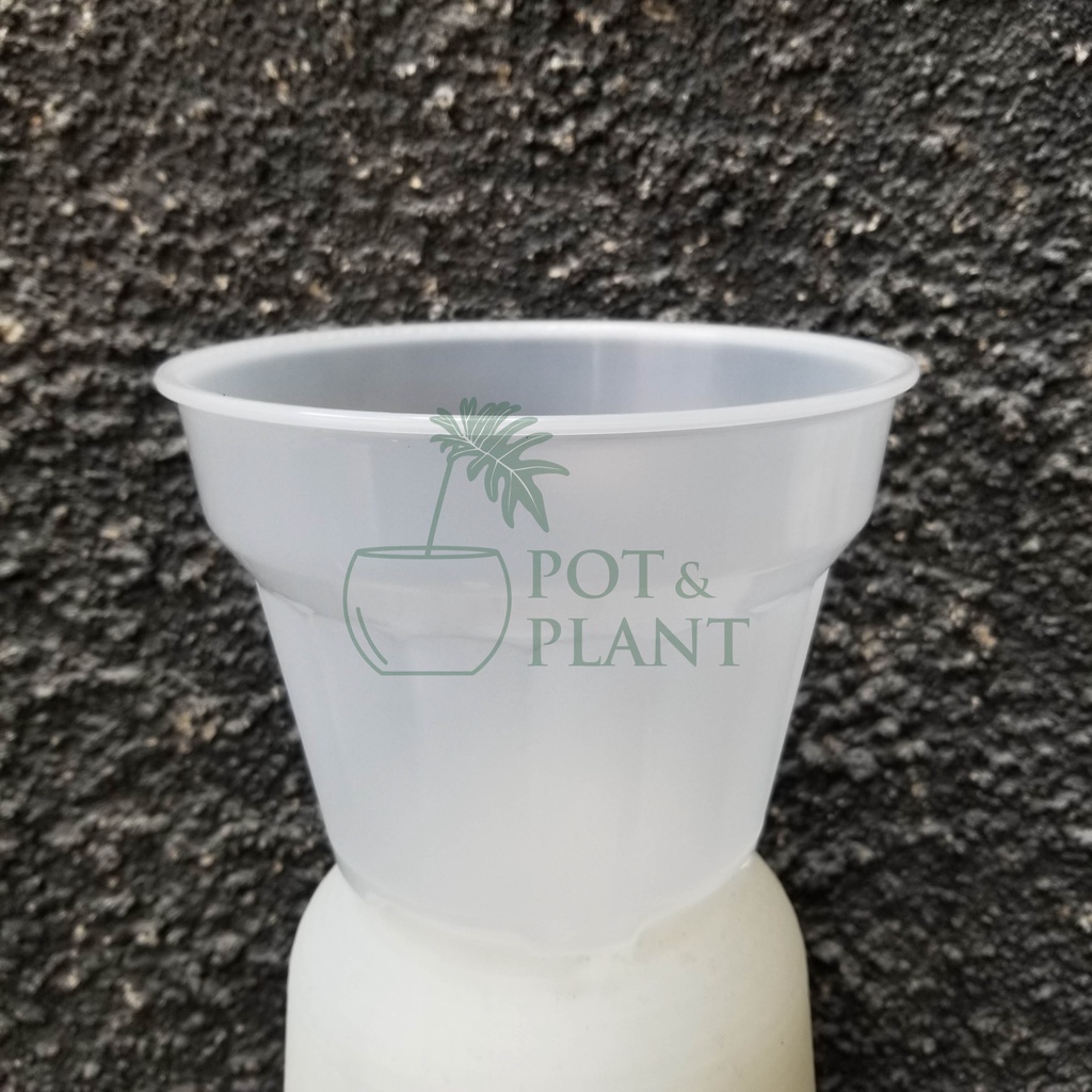 Jual Pot Plastik Tip Geo Tebal Berkualitas Bening Transparan Shopee Indonesia