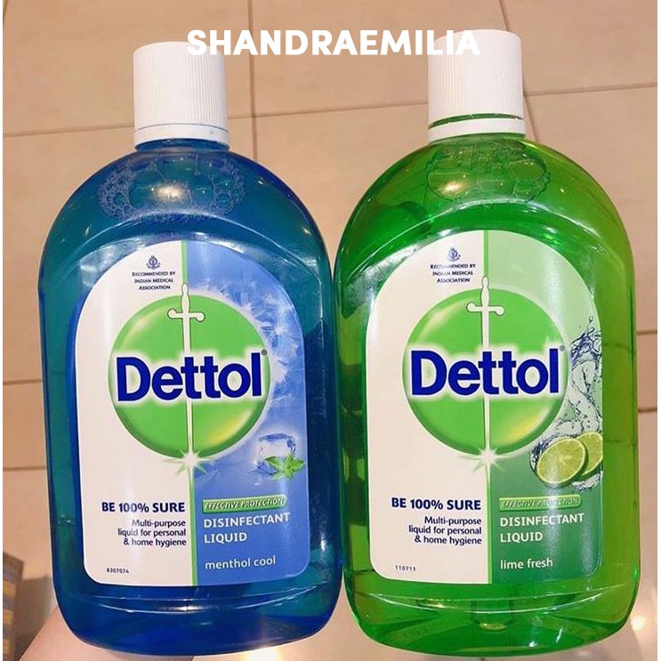Jual DETTOL SINGAPORE DETTOL Disinfectant Liquid Lime Fresh 550ml