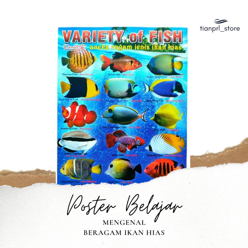 Jual Poster Belajar Mengenal Ikan Hias Shopee Indonesia