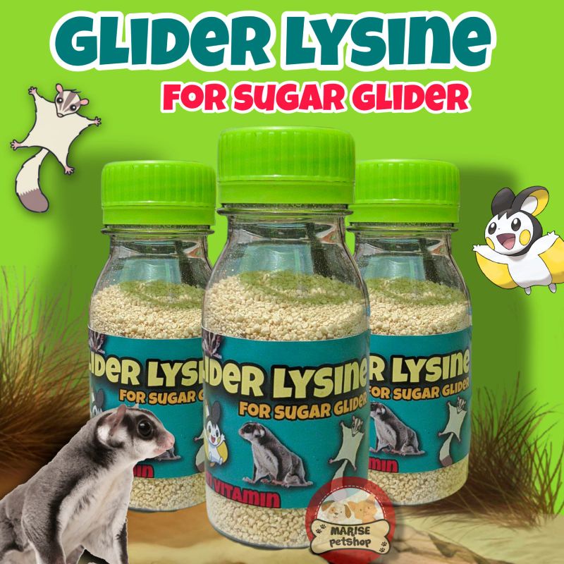 Jual Vitamin sugar glider glider lysine untuk bulu dan daya tahan