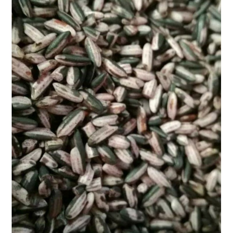 Jual Beras Ketan Hitam Sosoh Per 1 Kg Shopee Indonesia