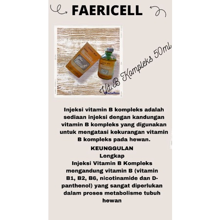 Jual injeksi B kompleks 50ml | Shopee Indonesia