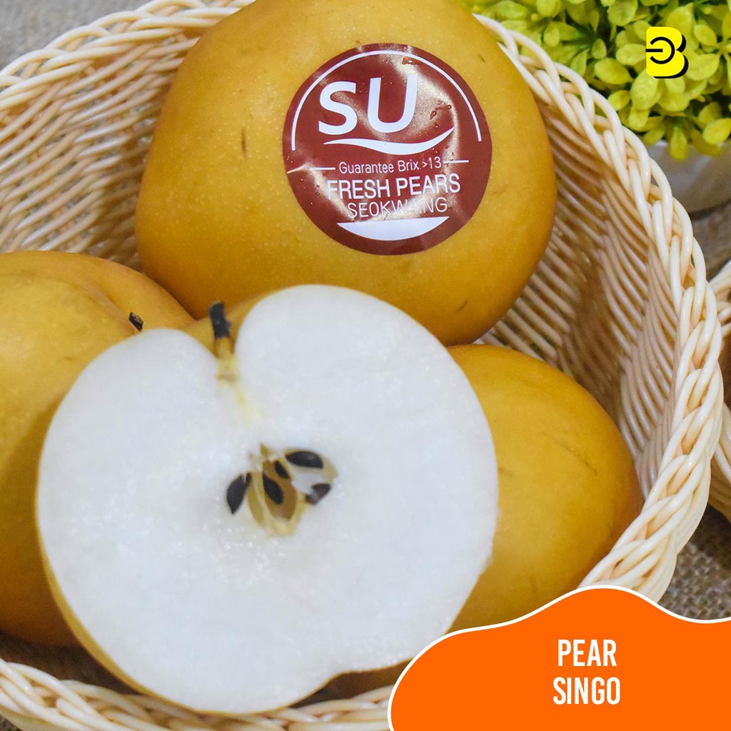 Jual Buah Pear Singo Korea Premium Pear Singo Korea Manis Segar 1kg Belidikita Shopee 