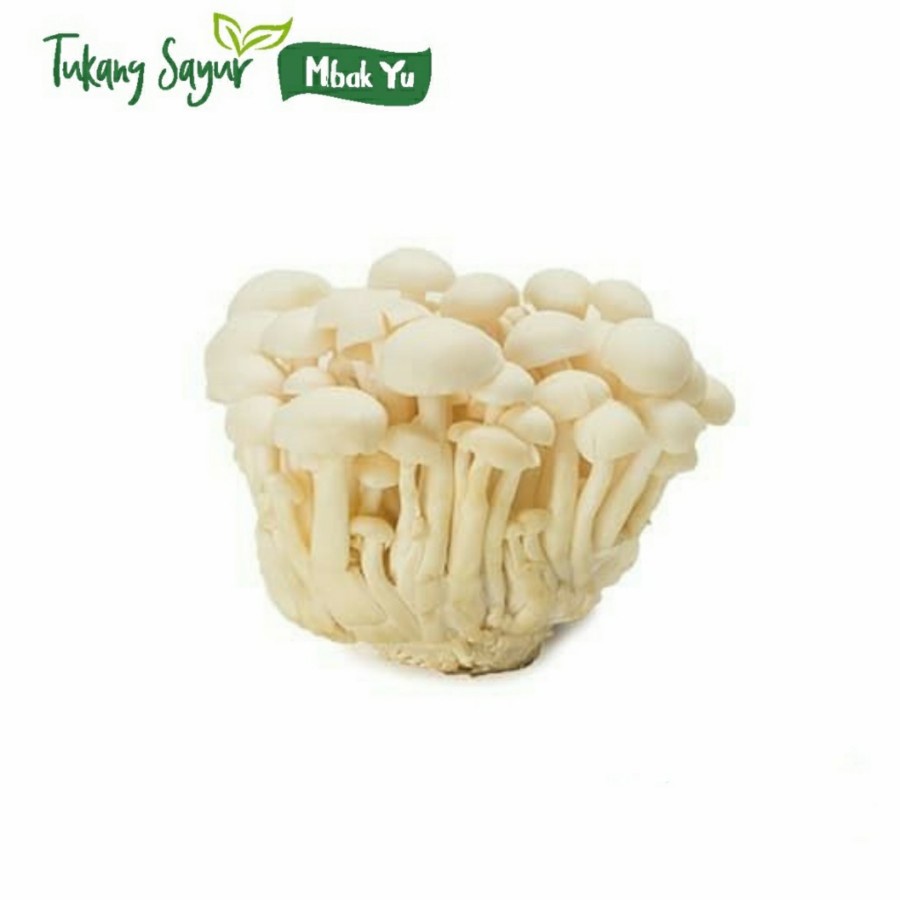Jual jamur shimeji putih per pack Shopee Indonesia