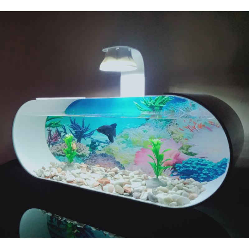 Jual Aquarium Mini Aquarium Pvc Akrilik Aquarium Ikan Hias Aquarium