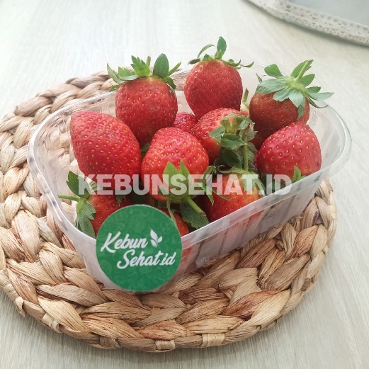 Jual Strawberry 250 Gr | Shopee Indonesia