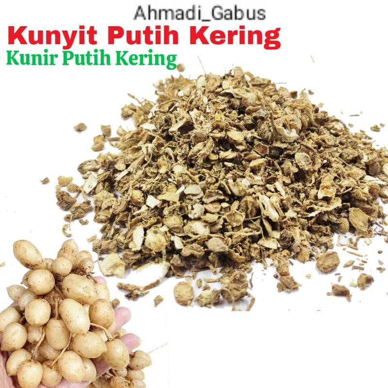 Jual Kunyit Putih Kering 1 Kg Kunit Putih Kering 1 Kg Temu Putih Kering 1 Kg Shopee Indonesia 2604