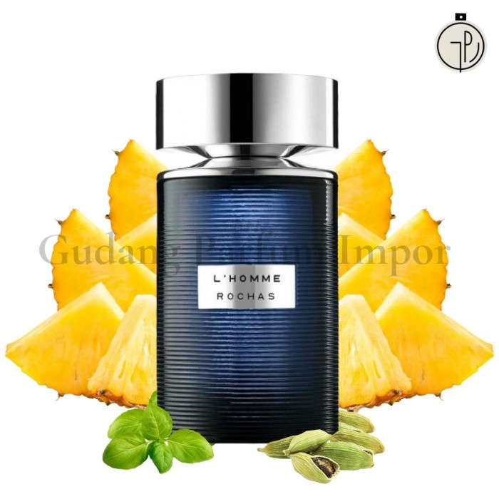 Jual Rochas L Homme for Men EDT 100 ml | Shopee Indonesia