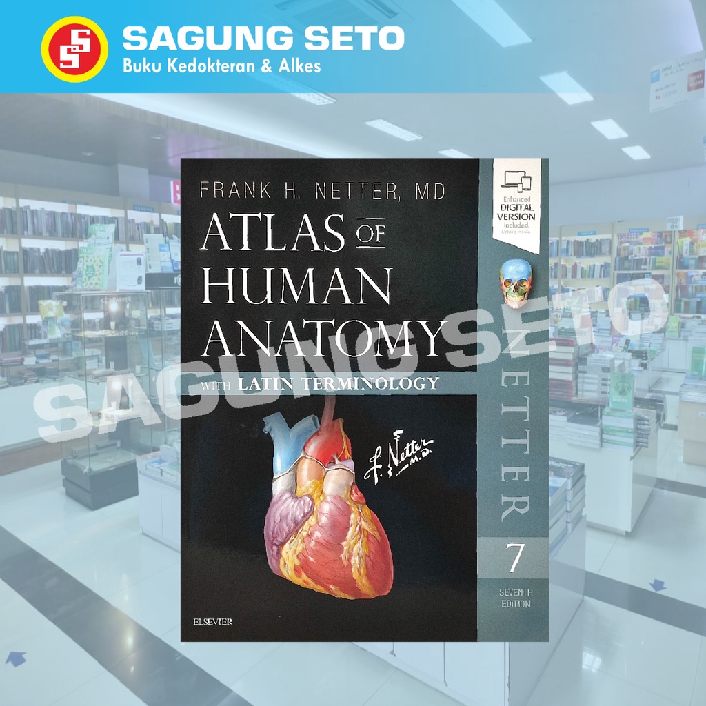 Jual ATLAS OF HUMAN ANATOMY LATIN TERMINOLOGY NETTER 7 EDITION (LATIN