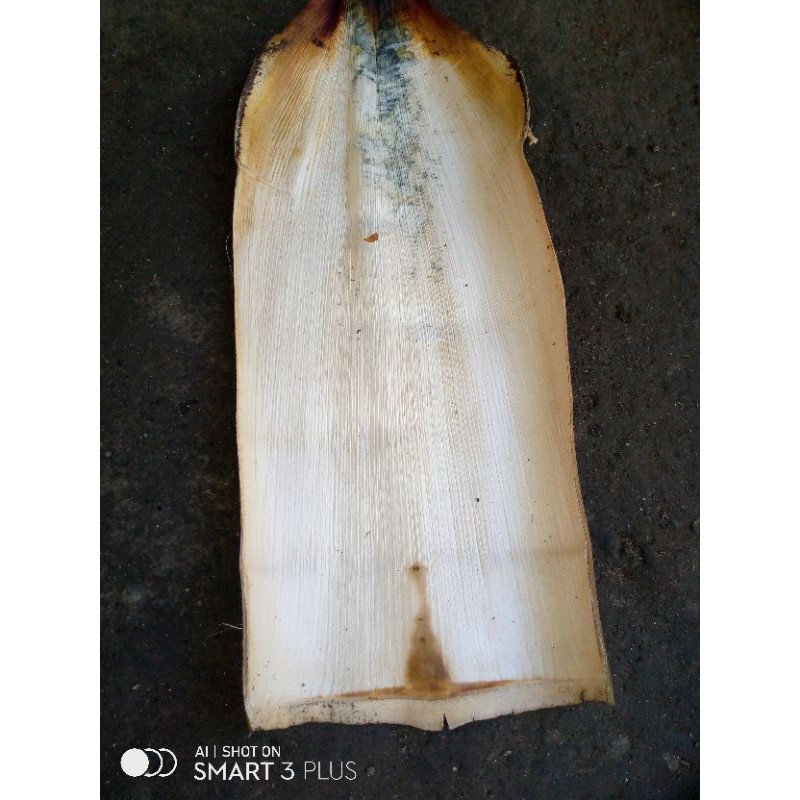Jual upih pohon pinang, satuan lebar 33cm panjang 76cm | Shopee Indonesia
