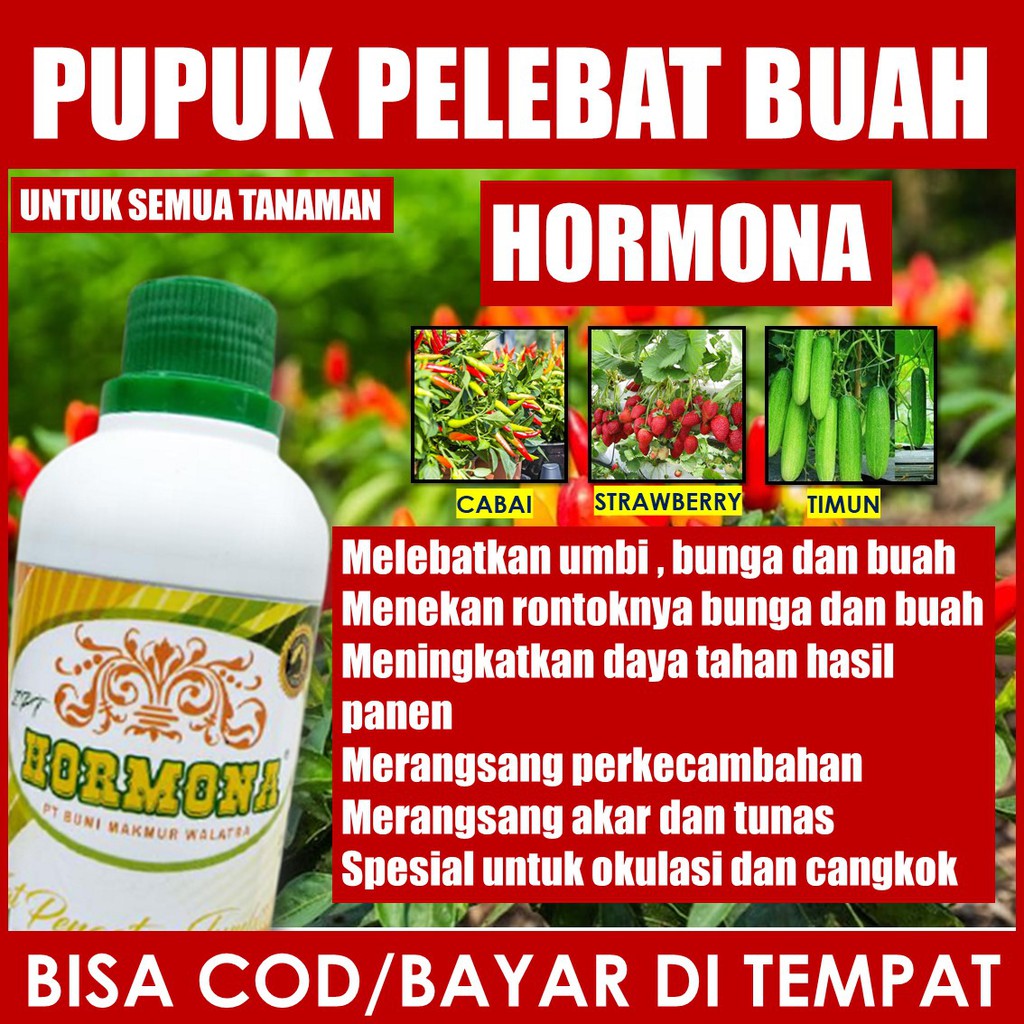 Jual Pupuk Organik Pelebat Buah Dan Sayur Pupuk Buah Lebat Tanpa