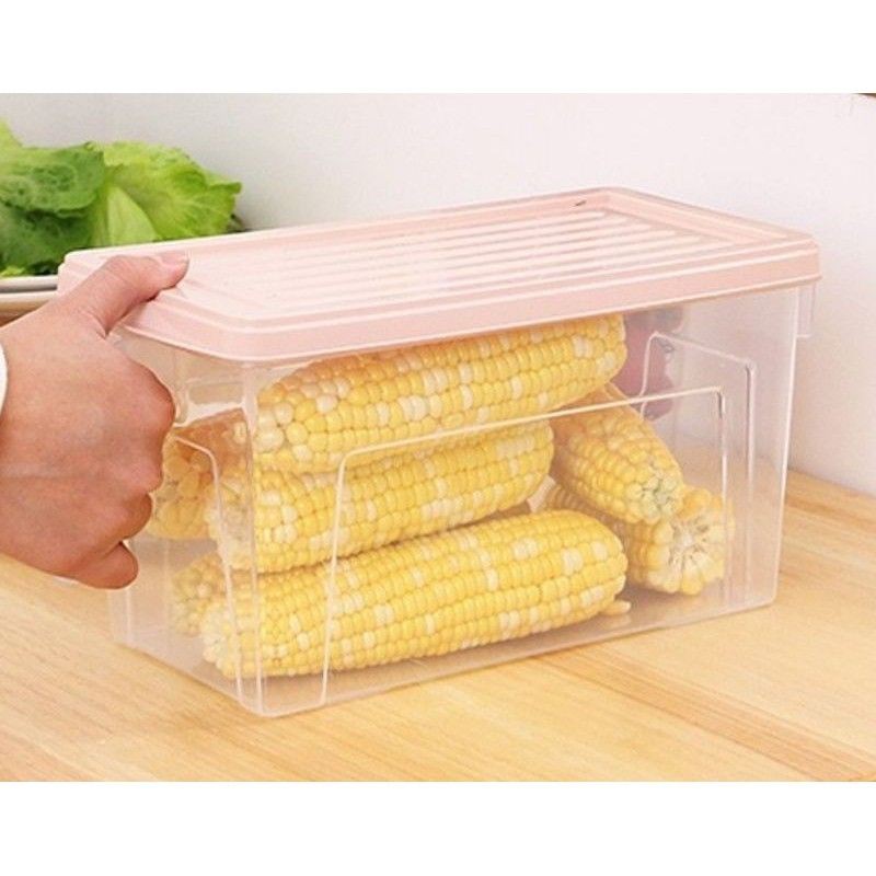 Jual Strongwell Kotak Kontainer Makanan Kulkas Kichen food Box 27.2X 15 ...