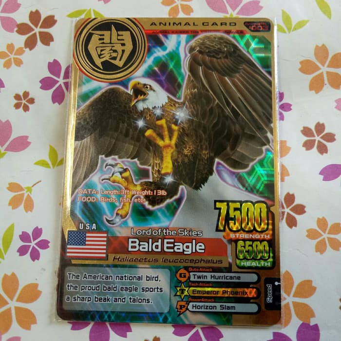 Jual animal kaiser gold bald eagle versi 2 | Shopee Indonesia