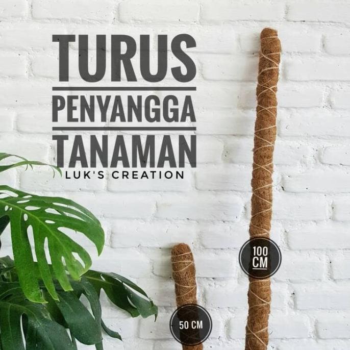 Jual Turus Penyangga Tanaman 100 Cm Rambatan Tanaman Tiang Penyangga Shopee Indonesia 1829