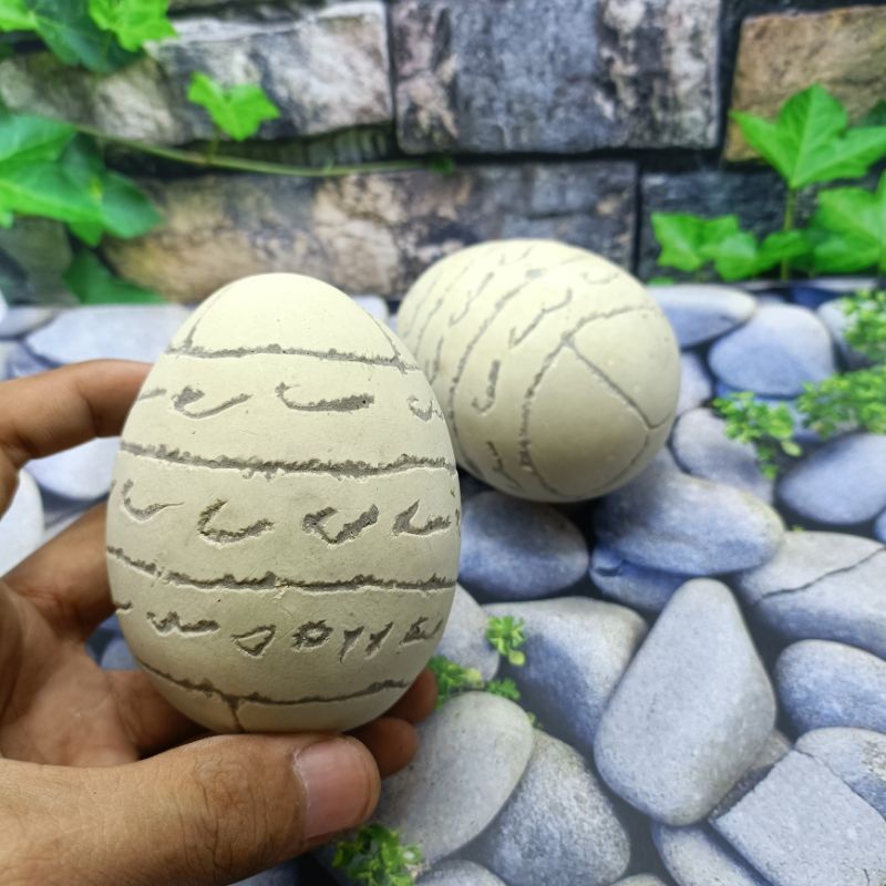 Jual BARANG ANTIK TELUR RAJAH PUTIH BESAR | Shopee Indonesia
