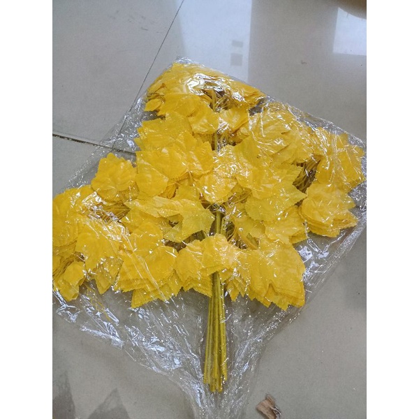 Jual Daun anggur kuning (1lusin) | Shopee Indonesia